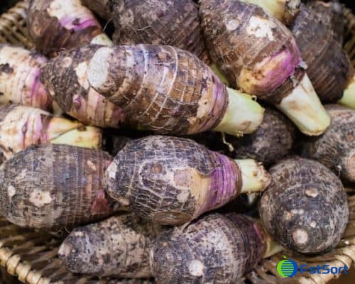 images/1661239983580taro grading machine.jpg